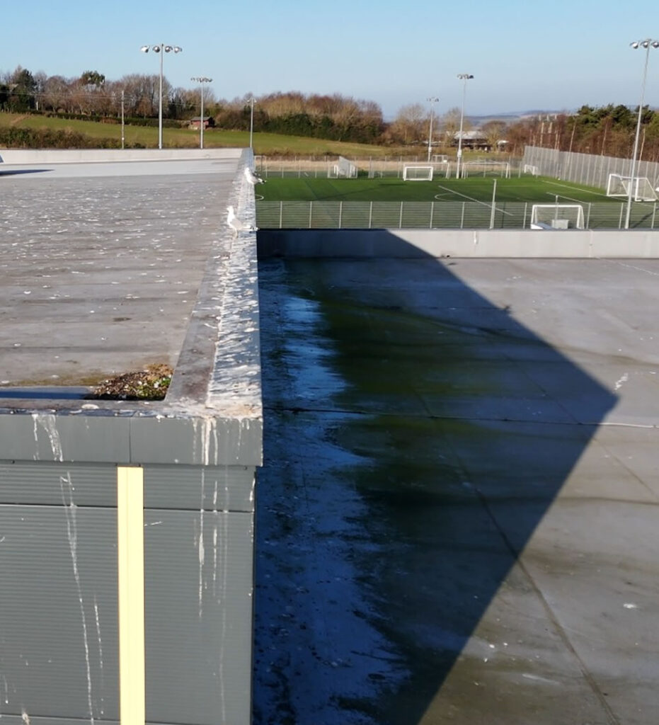 Cheviot Trust Drone Survey Cheviot Trust Drone Survey